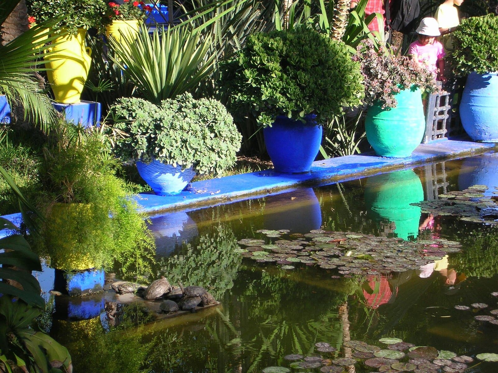 Blue building and cactus garden at Jardin Majorelle in Marrakech