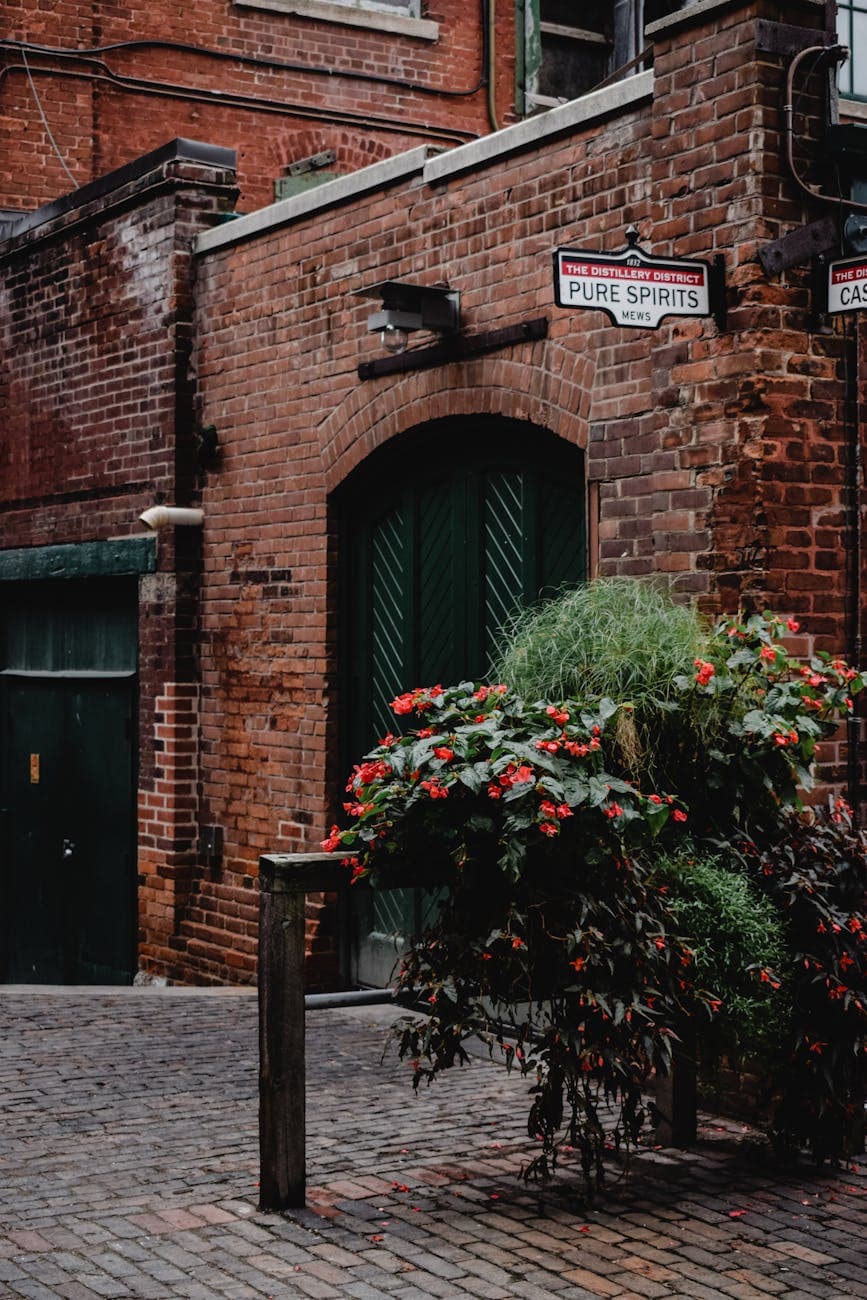 Red brick alleyway with lush greenery in Toronto's historic Distillery District